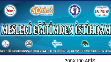 SODES 2017 MESLEKİ EĞİTİMDEN İSTİHDAMA